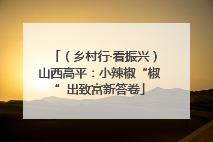 （乡村行·看振兴）山西高平：小辣椒“椒”出致富新答卷