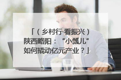 （乡村行·看振兴）陕西略阳：“小瓢儿”如何撬动亿元产业？
