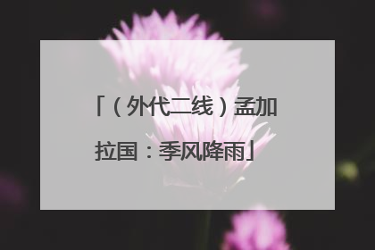 （外代二线）孟加拉国：季风降雨