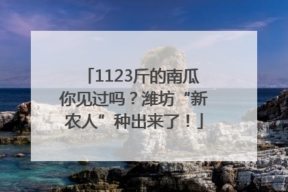 1123斤的南瓜你见过吗？潍坊“新农人”种出来了！