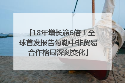 18年增长逾6倍！全球首发报告勾勒中非贸易合作格局深刻变化