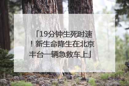 19分钟生死时速！新生命降生在北京丰台一辆急救车上