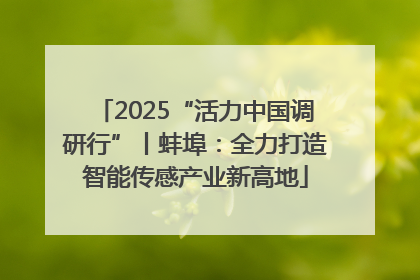 2025“活力中国调研行”丨蚌埠：全力打造智能传感产业新高地