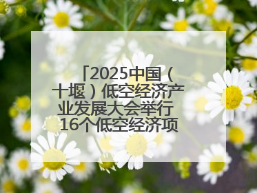 2025中国（十堰）低空经济产业发展大会举行 16个低空经济项目落户车城