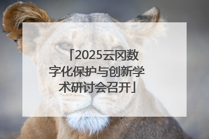 2025云冈数字化保护与创新学术研讨会召开