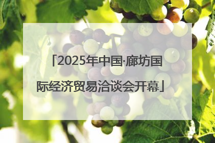 2025年中国·廊坊国际经济贸易洽谈会开幕