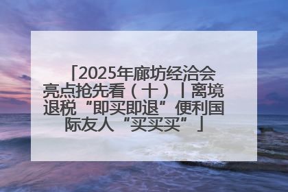 2025年廊坊经洽会亮点抢先看（十）丨离境退税“即买即退”便利国际友人“买买买”