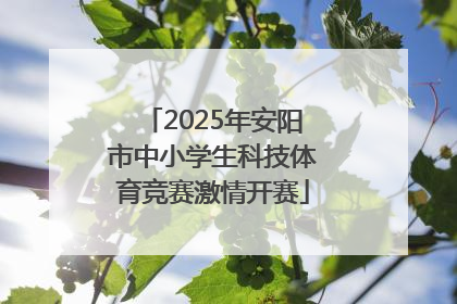 2025年安阳市中小学生科技体育竞赛激情开赛