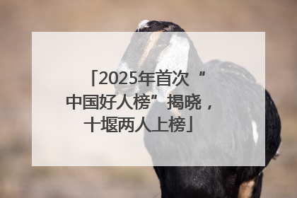 2025年首次“中国好人榜”揭晓，十堰两人上榜