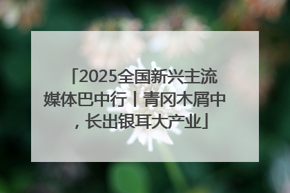 2025全国新兴主流媒体巴中行丨青冈木屑中，长出银耳大产业