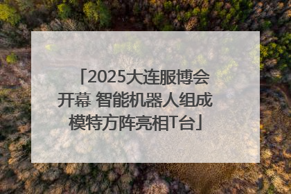 2025大连服博会开幕 智能机器人组成模特方阵亮相T台