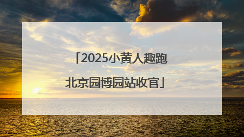 2025小黄人趣跑北京园博园站收官