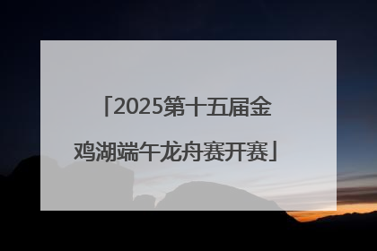 2025第十五届金鸡湖端午龙舟赛开赛