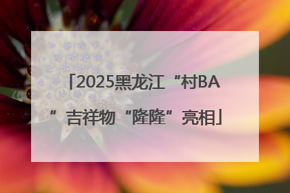 2025黑龙江“村BA”吉祥物“隆隆”亮相