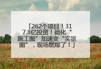 262个项目！317.8亿投资！德化“施工图”加速变“实景图”，现场燃爆了！