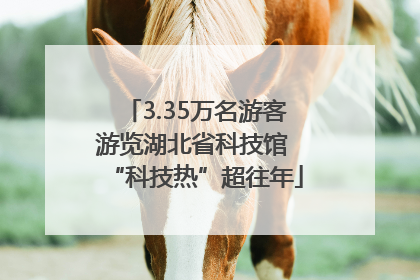3.35万名游客游览湖北省科技馆 “科技热”超往年