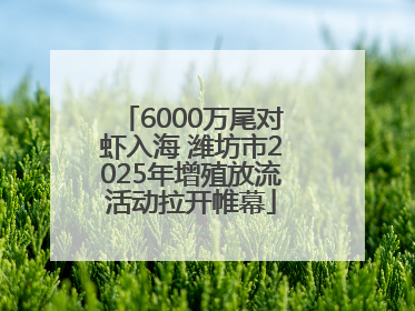 6000万尾对虾入海 潍坊市2025年增殖放流活动拉开帷幕