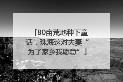 80亩荒地种下童话，珠海这对夫妻“为了家乡我愿意”