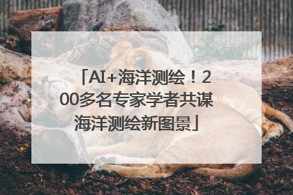 AI+海洋测绘！200多名专家学者共谋海洋测绘新图景