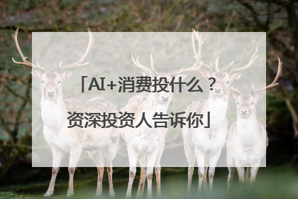 AI+消费投什么？资深投资人告诉你